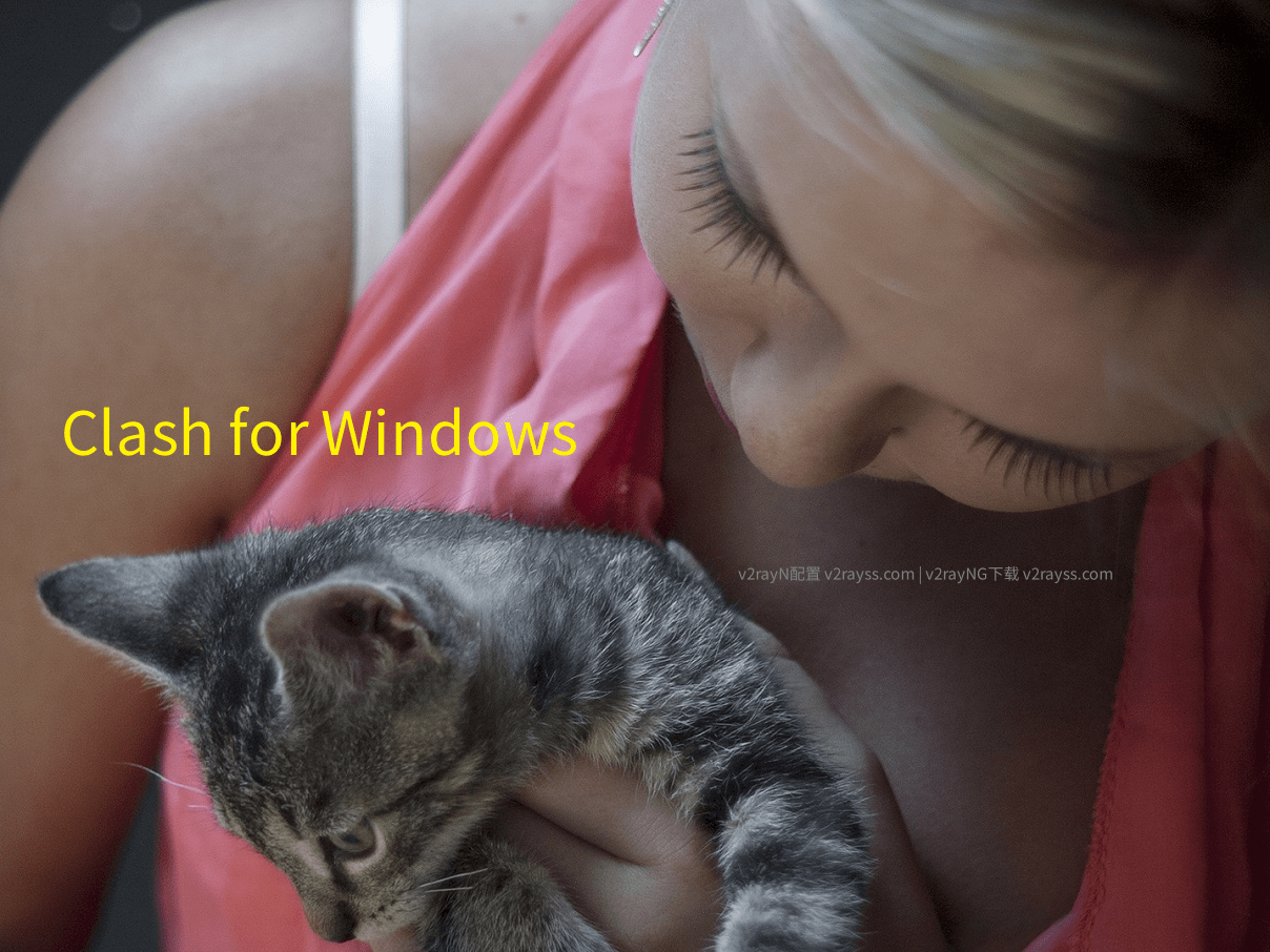 Clash for Windows 更新 v0.20.36 汉化绿色版 - 第1张图片